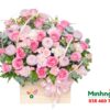 Hoa cẩm chướng - tình yêu trong sáng và cao thượng