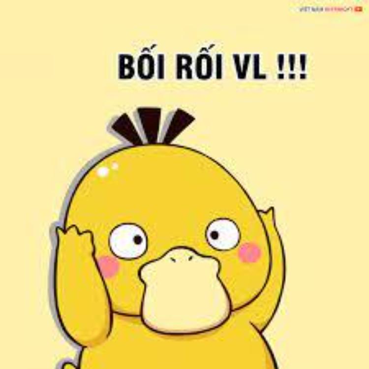 TOP 50+ ảnh vịt meme Psyduck cực hài hước, bá đạo và cute